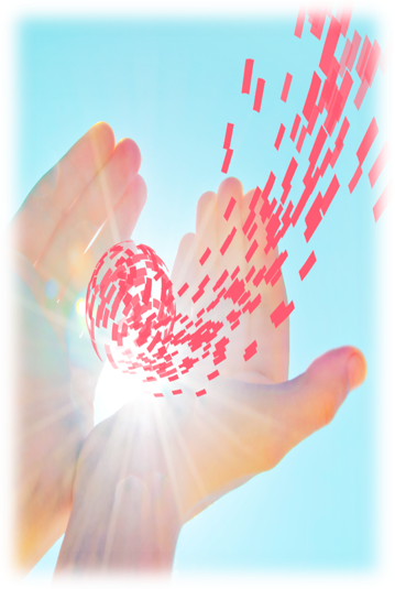 ���ι���